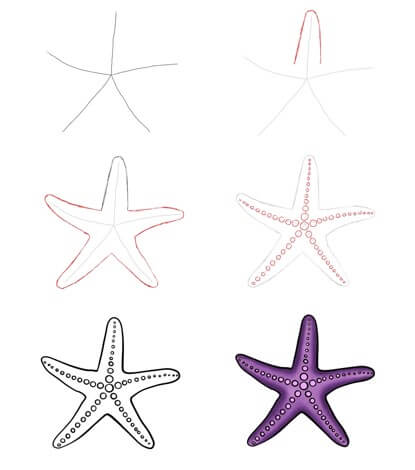 Purple starfish Drawing Ideas