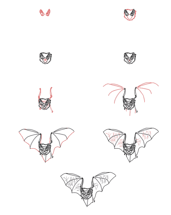 Realistic bat Drawing Ideas