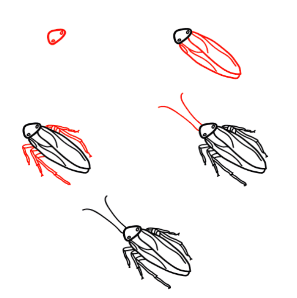 Realistic cockroach Drawing Ideas