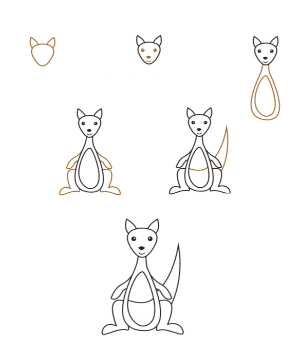 How to draw Realistic kangaroo (2)