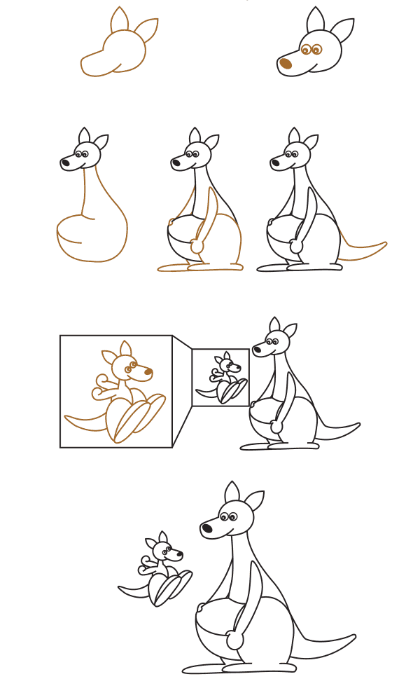 How to draw Realistic kangaroo (3)