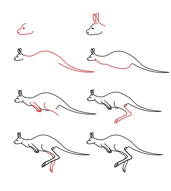 Realistic kangaroo (5) Drawing Ideas