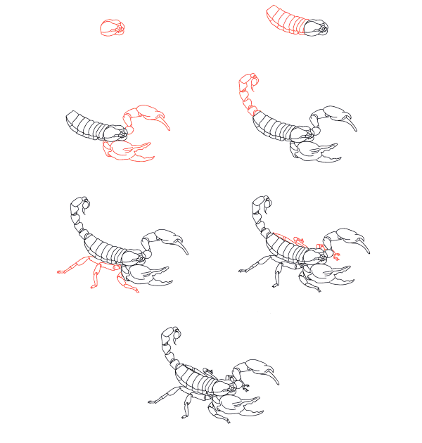 Realistic scorpion Drawing Ideas