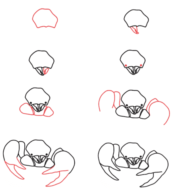 How to draw Scorpion head