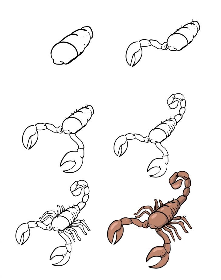 How to draw Scorpion idea (1)