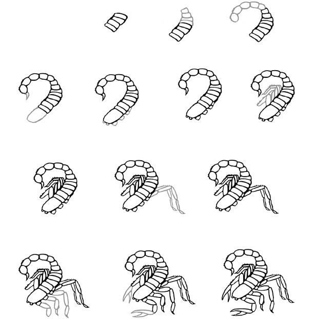 Scorpion idea (12) Drawing Ideas