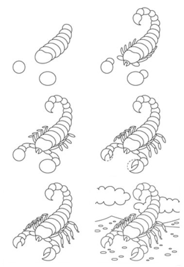How to draw Scorpion idea (13)