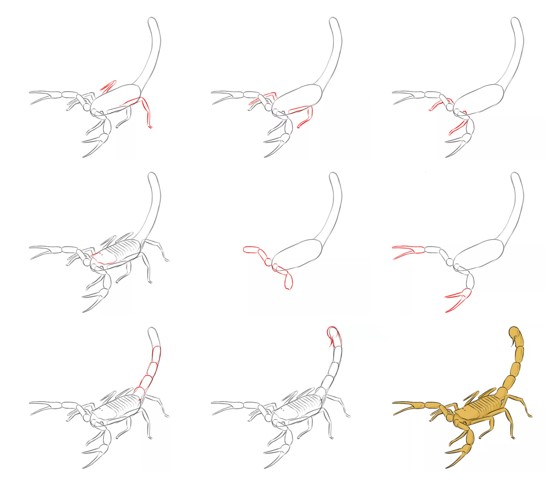 How to draw Scorpion idea (17)