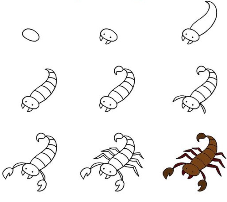 How to draw Scorpion idea (2)