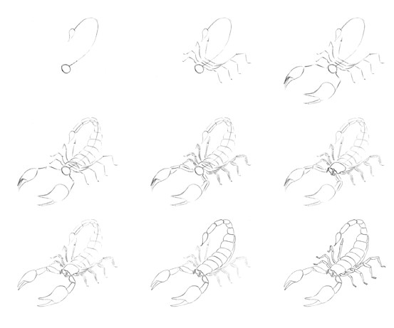 How to draw Scorpion idea (4)