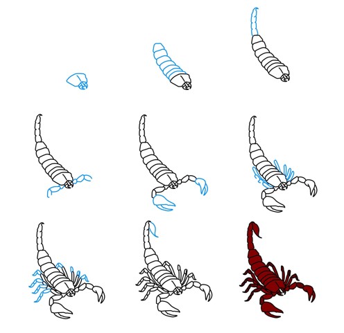 Scorpion idea (7) Drawing Ideas