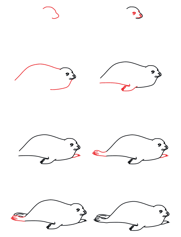Seal Drawing Ideas