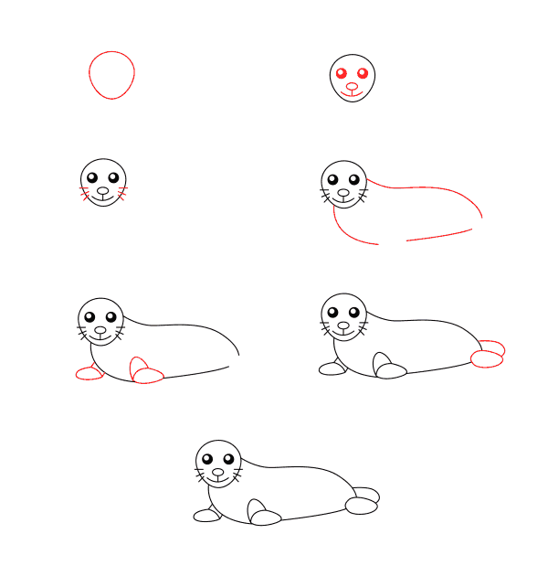 How to draw Seal for kids