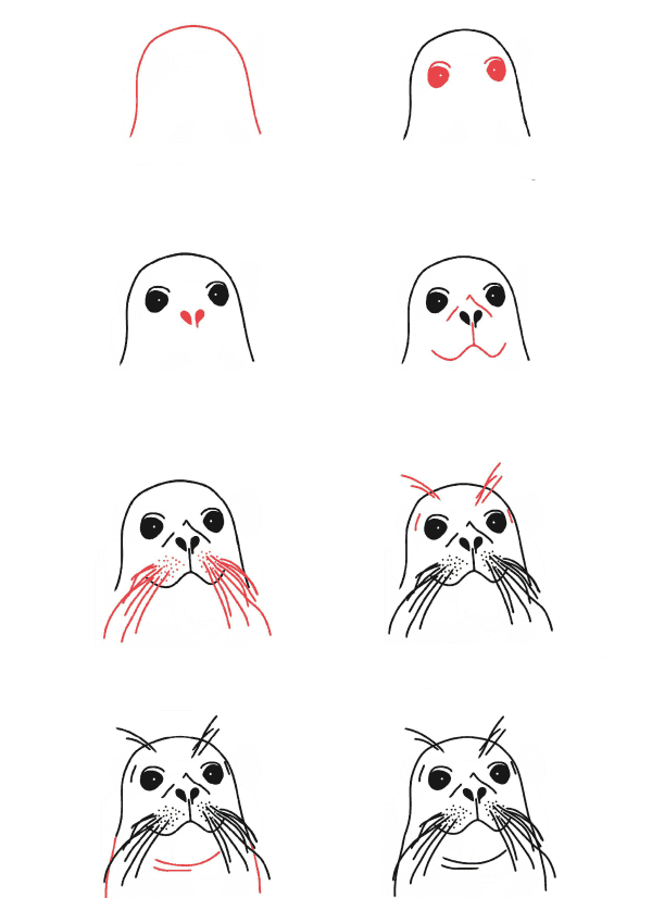 How to draw Seal head