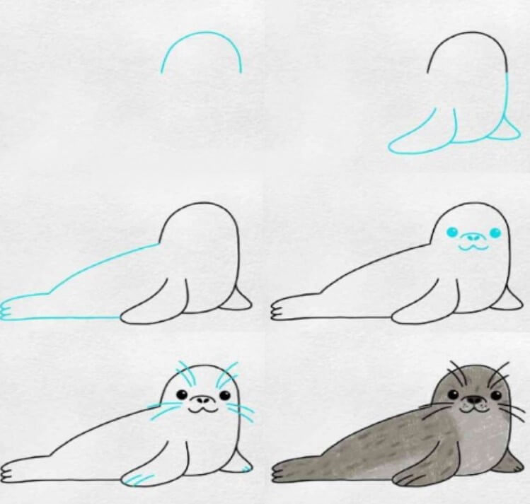 How to draw Seal idea 1