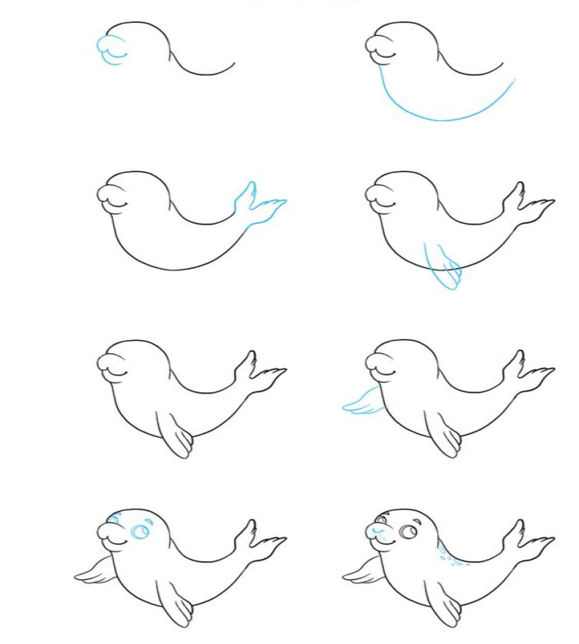 How to draw Seal idea 10
