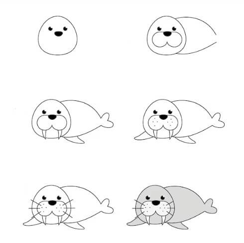 How to draw Seal idea 11