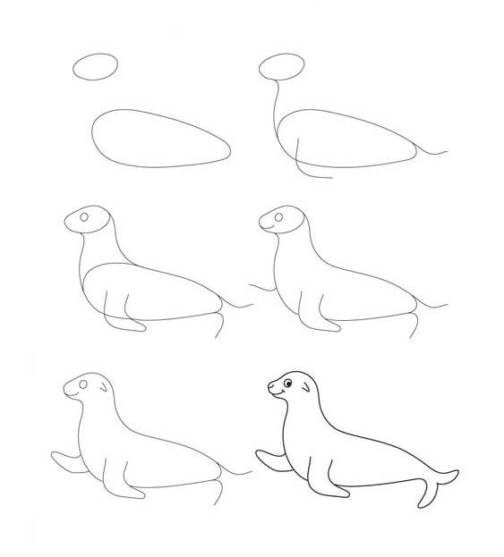 How to draw Seal idea 4