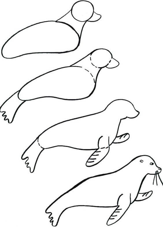 How to draw Seal idea 5
