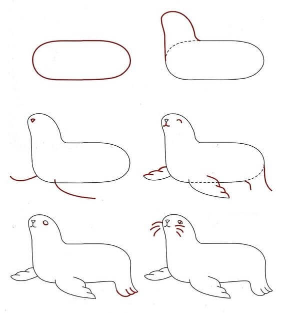 How to draw Seal idea 6