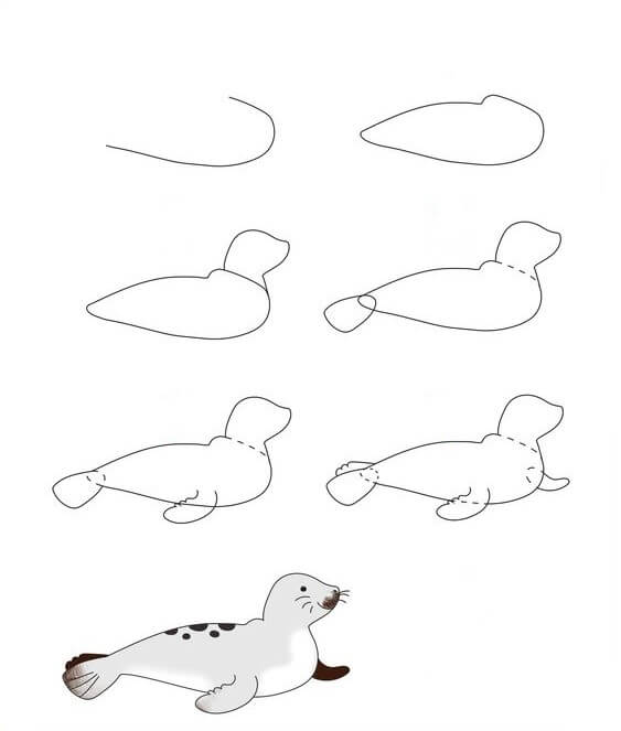 How to draw Seal idea 7