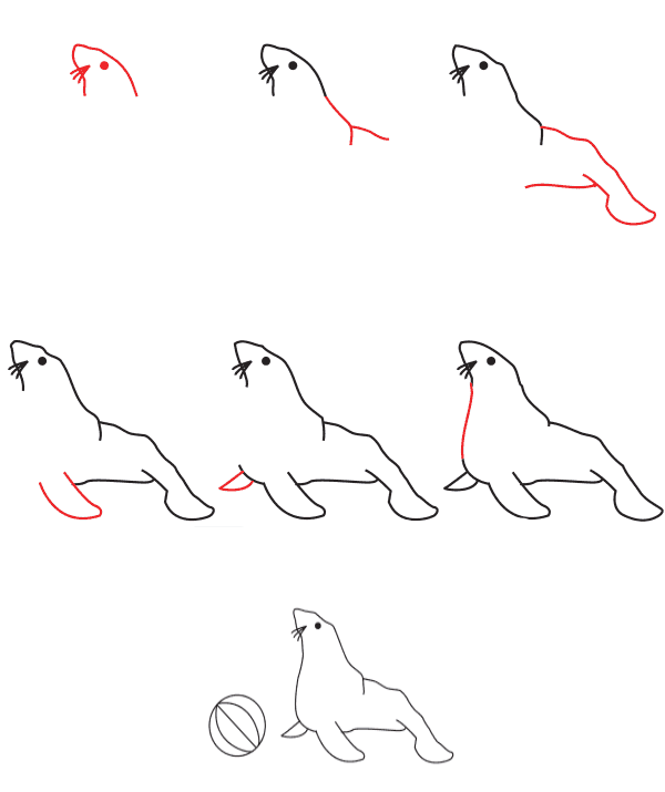 How to draw Seals playing ball