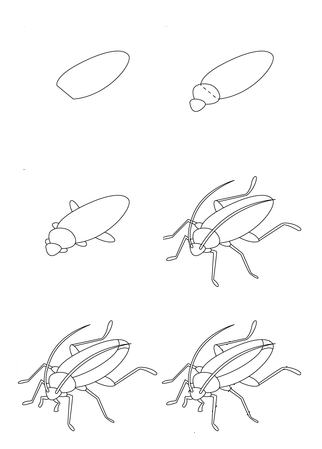 Simple steps to draw a cockroach Drawing Ideas