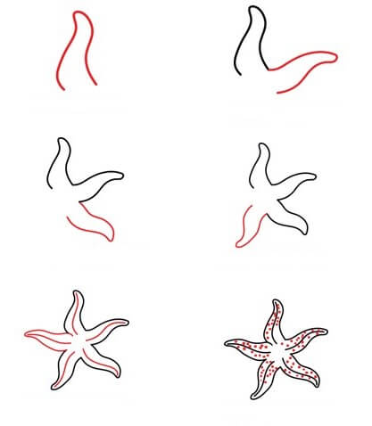 How to draw Slender starfish