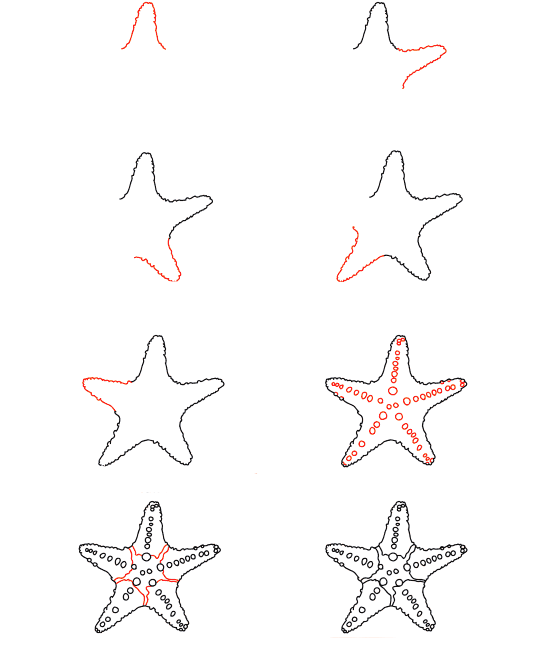 How to draw Starfish Celestial