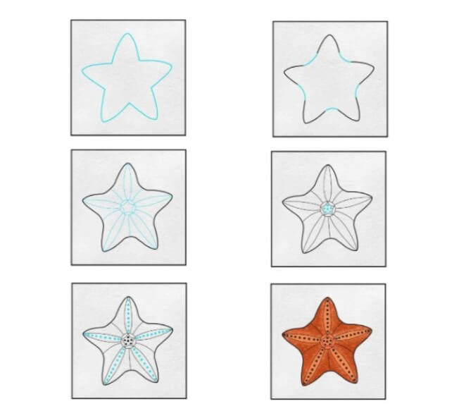 How to draw Starfish drawing simple