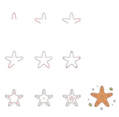 How to draw Starfish Jubilee