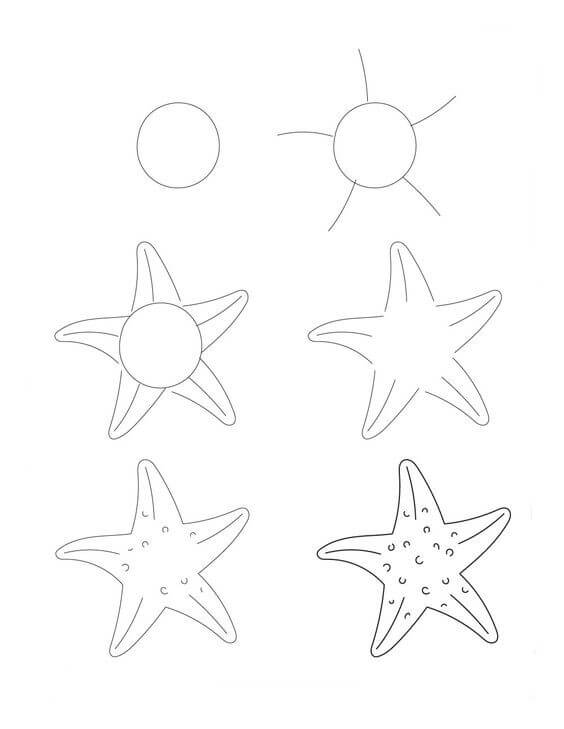 Starfish Radiance Drawing Ideas