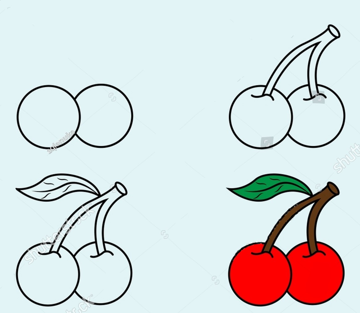 How to draw Succulent cherries