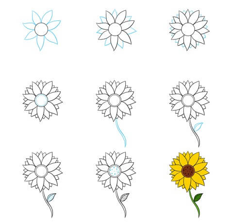 How to draw Sunflowers idea (10)