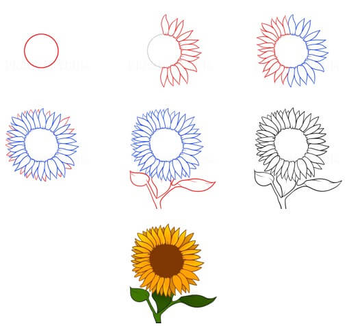 How to draw Sunflowers idea (11)