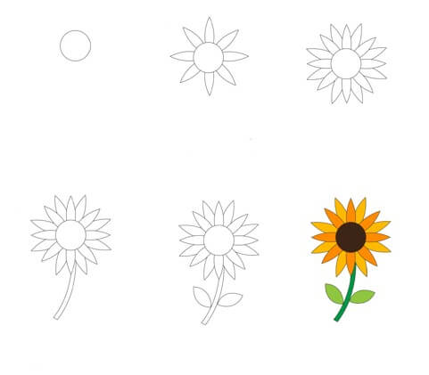 How to draw Sunflowers idea (12)