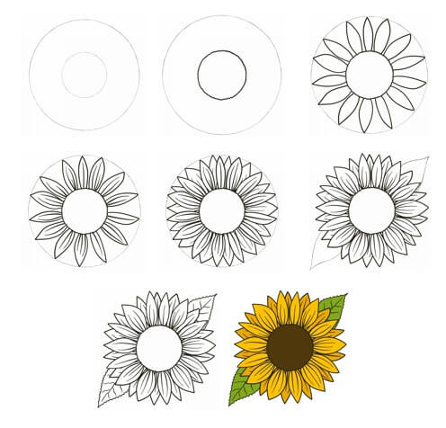 How to draw Sunflowers idea (15)