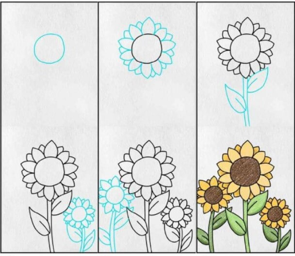 How to draw Sunflowers idea (16)