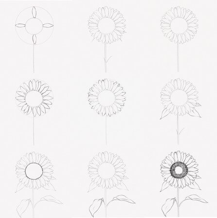 How to draw Sunflowers idea (17)