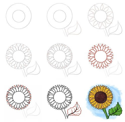 How to draw Sunflowers idea (18)