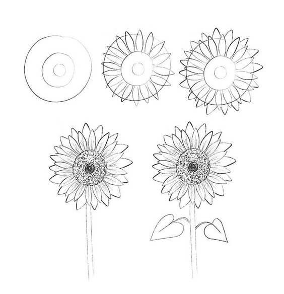How to draw Sunflowers idea (2)