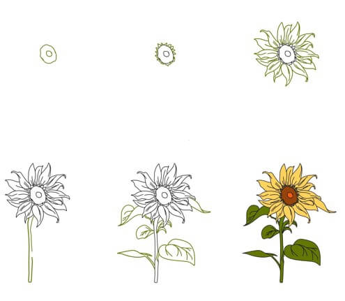 How to draw Sunflowers idea (23)