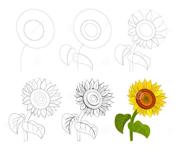 How to draw Sunflowers idea (27)