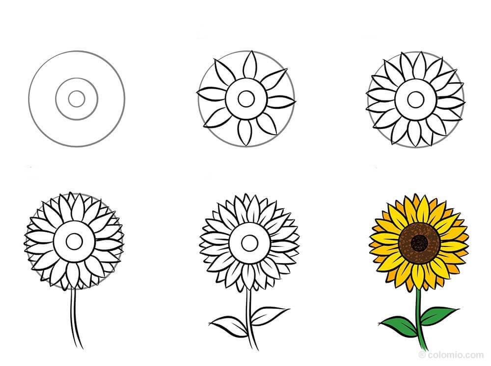 How to draw Sunflowers idea (29)