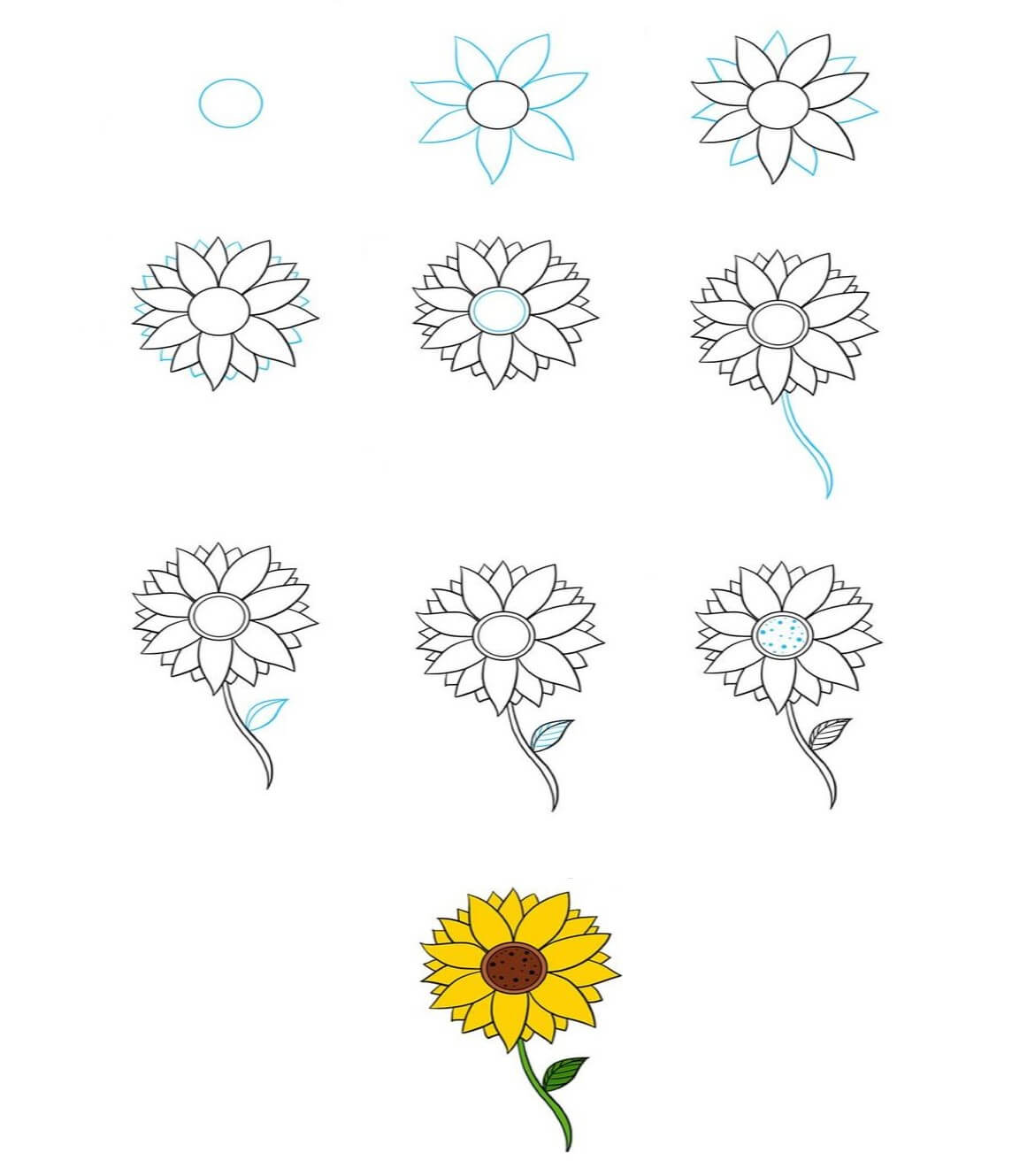 How to draw Sunflowers idea (3)