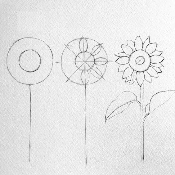 How to draw Sunflowers idea (30)