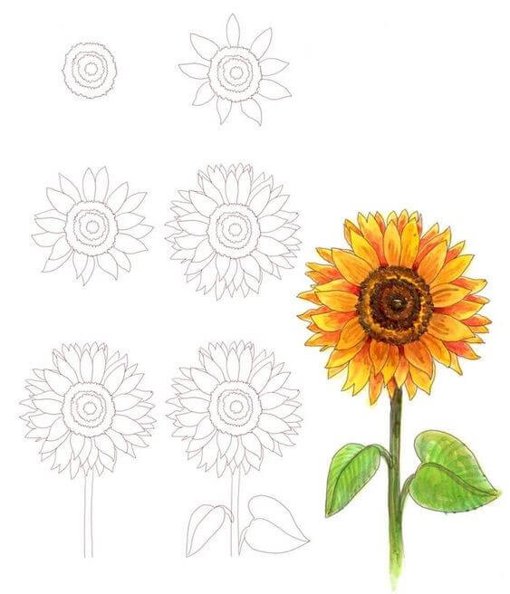 How to draw Sunflowers idea (5)