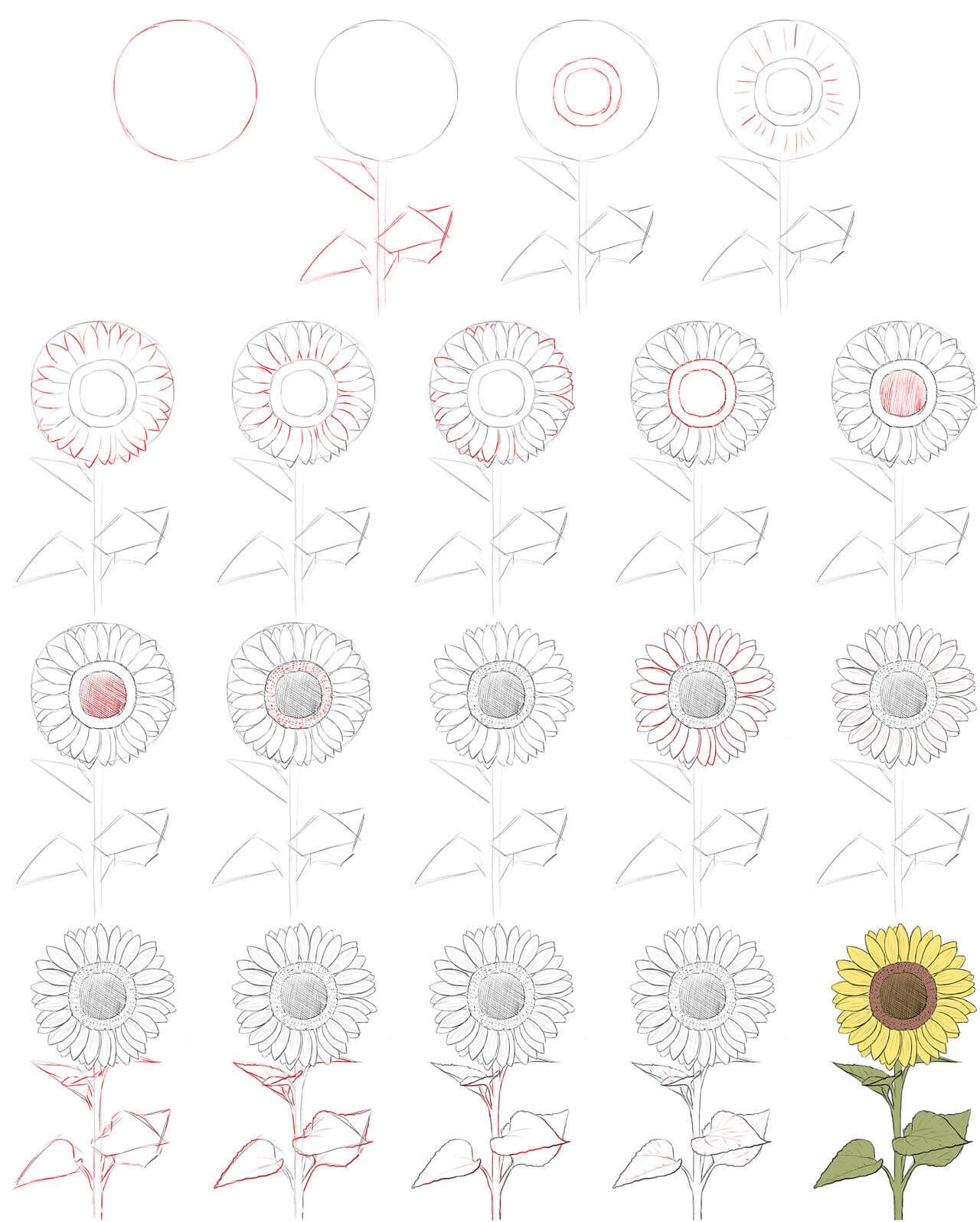 How to draw Sunflowers idea (6)