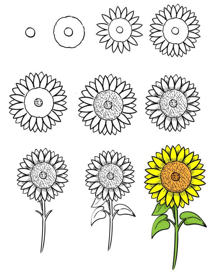 How to draw Sunflowers idea (7)