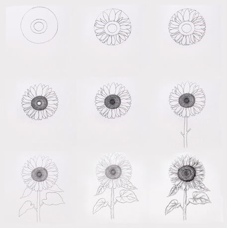 How to draw Sunflowers idea (8)
